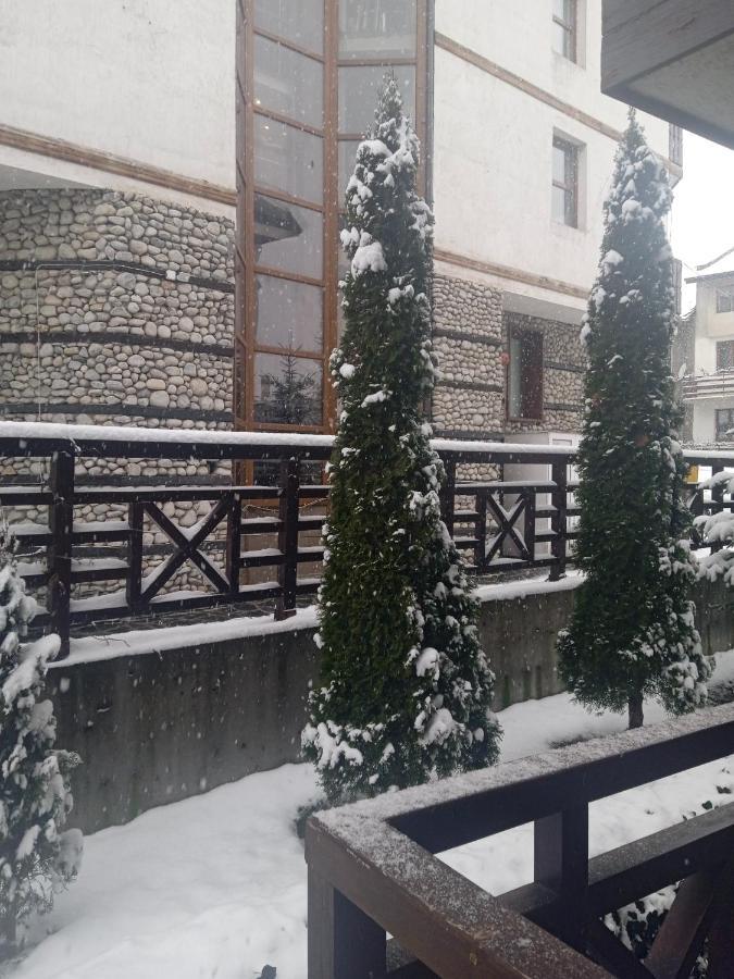 Mila Vip Bansko