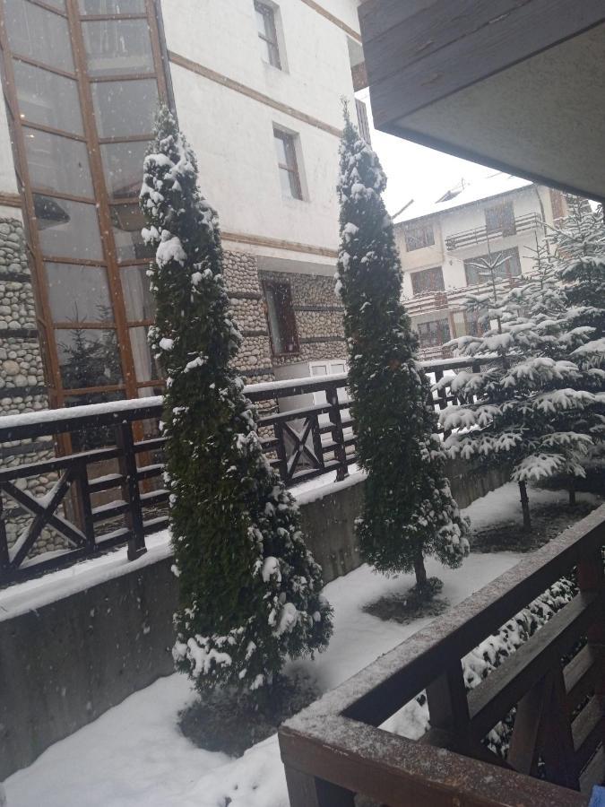 Mila Vip Appartamento Bansko